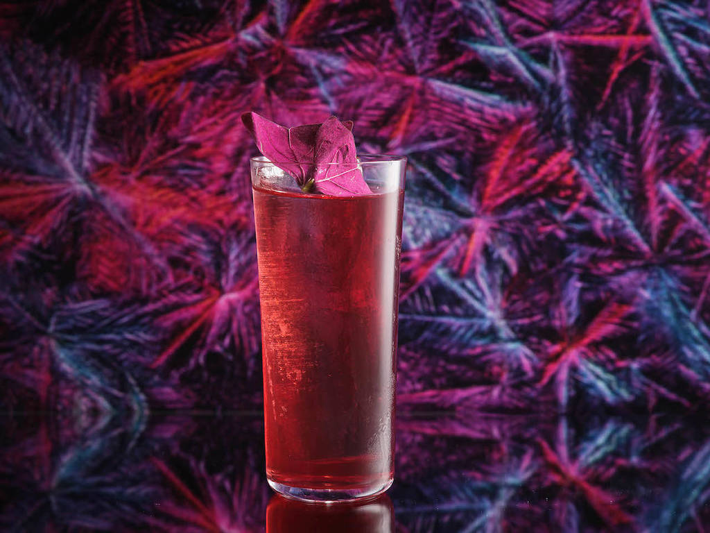 a jasmine sorrel drink in a highball glass at Silverleaf bar