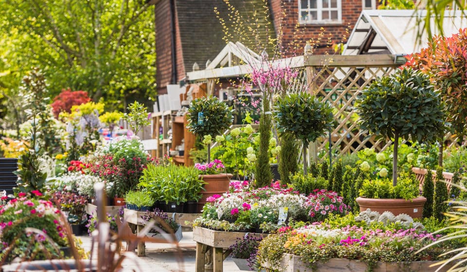 17 Glorious Garden Centres In London To Feed Your Plant Obsession