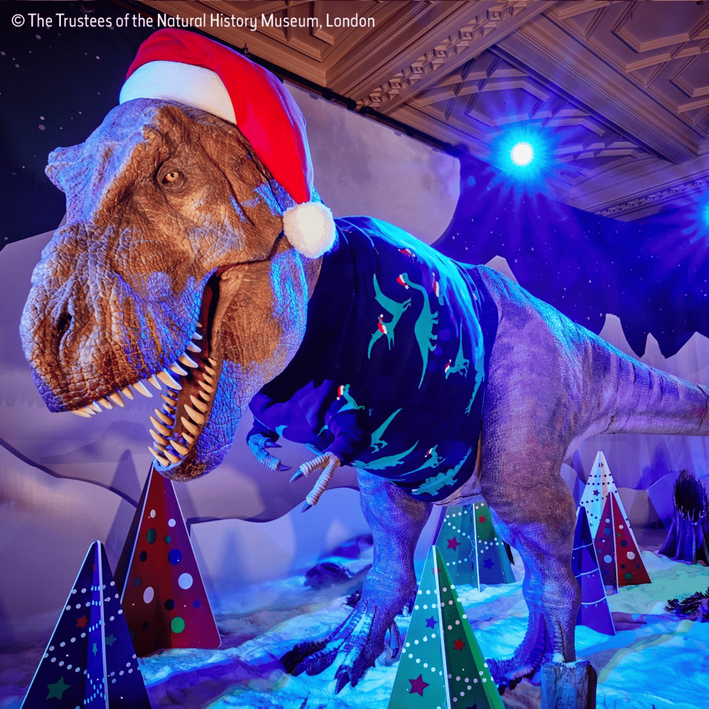 the t-rex at the natural history museum wearing a christmas jumper and santa hat